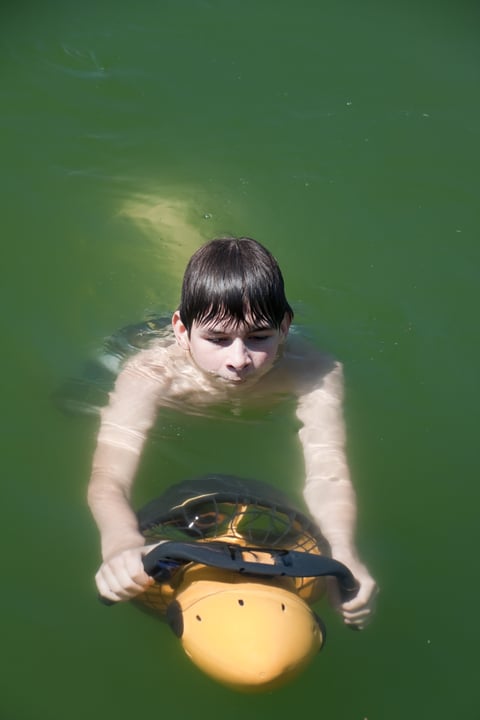 Child swimming tropical water
