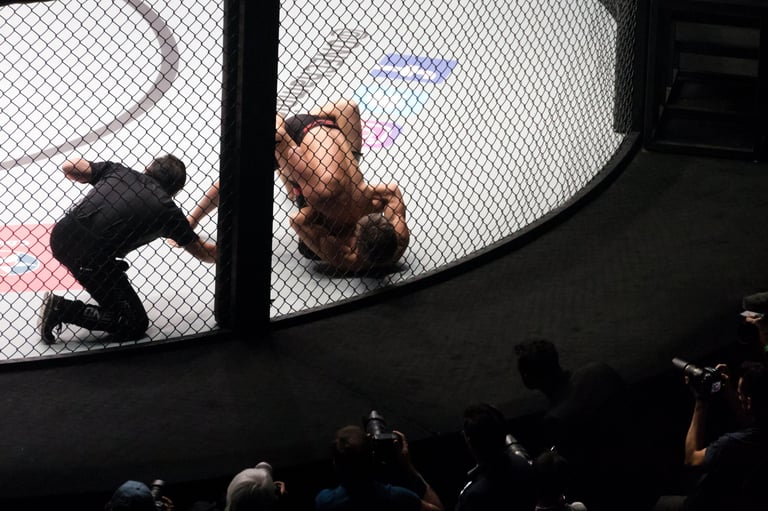 MMA cage fight ring photographers