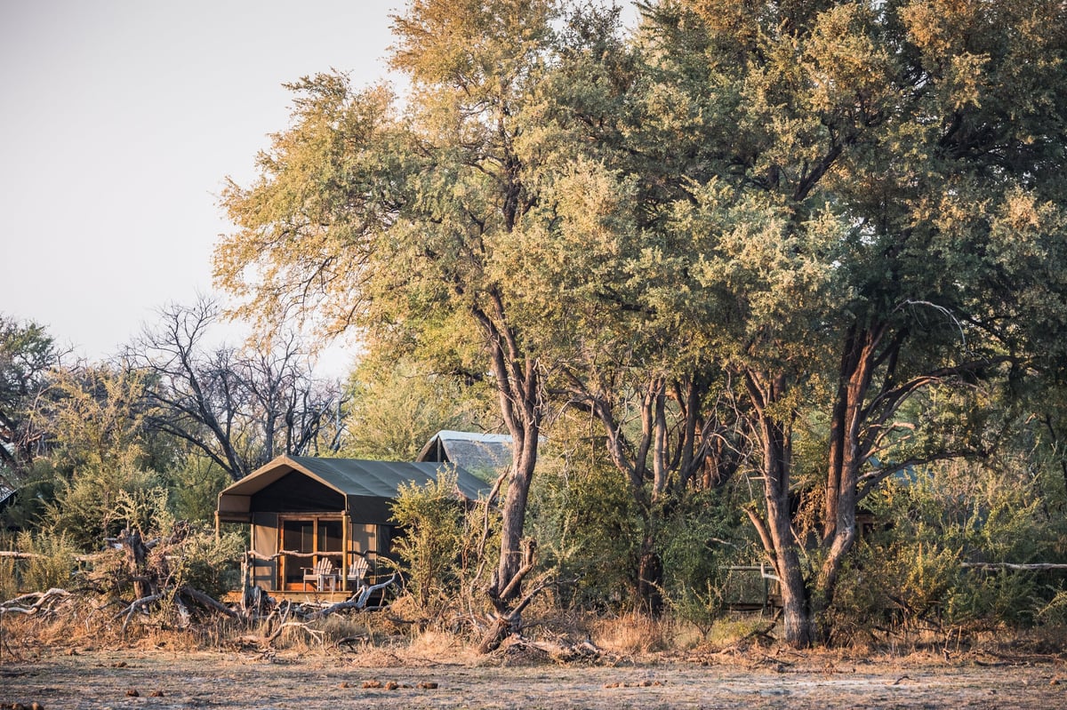 Luxury safari tented camp in the Okavango Delta Botswana