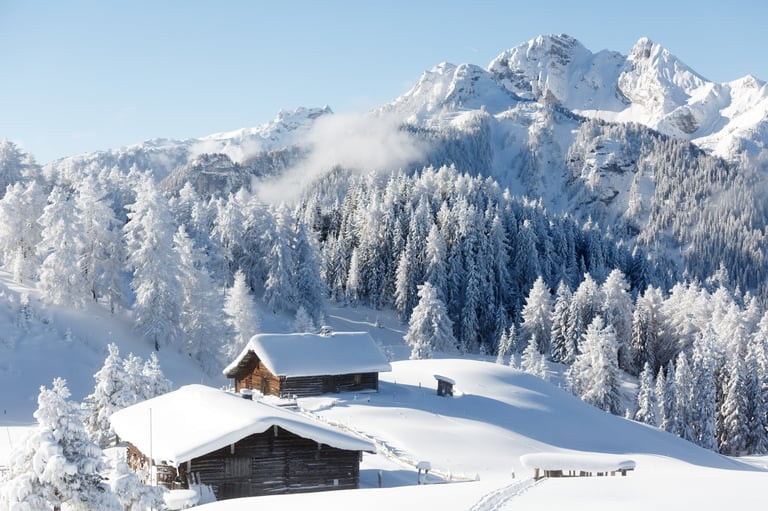 Experimental Chalet Verbier