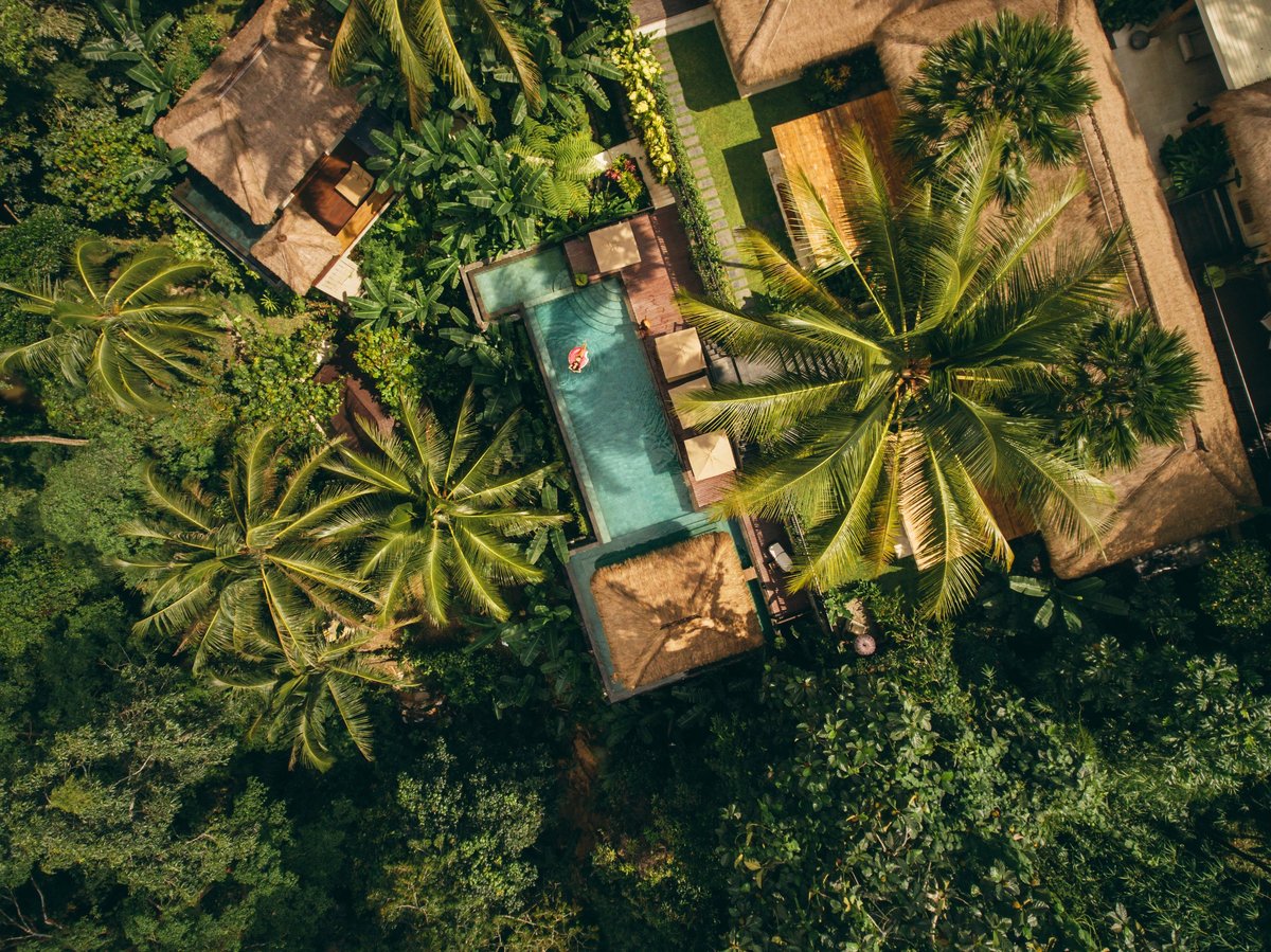 Aerial view of luxury eco resort in forest surrounded by trees with swimming pool