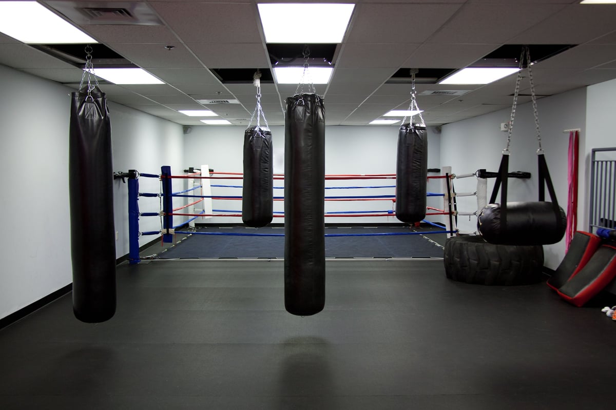 Premium boxing training facility with championship ring and gym equipment