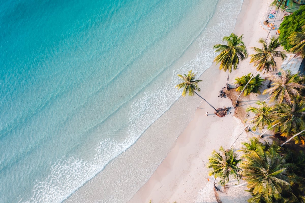 Beach and coconut trees on a calm island morning aerial view