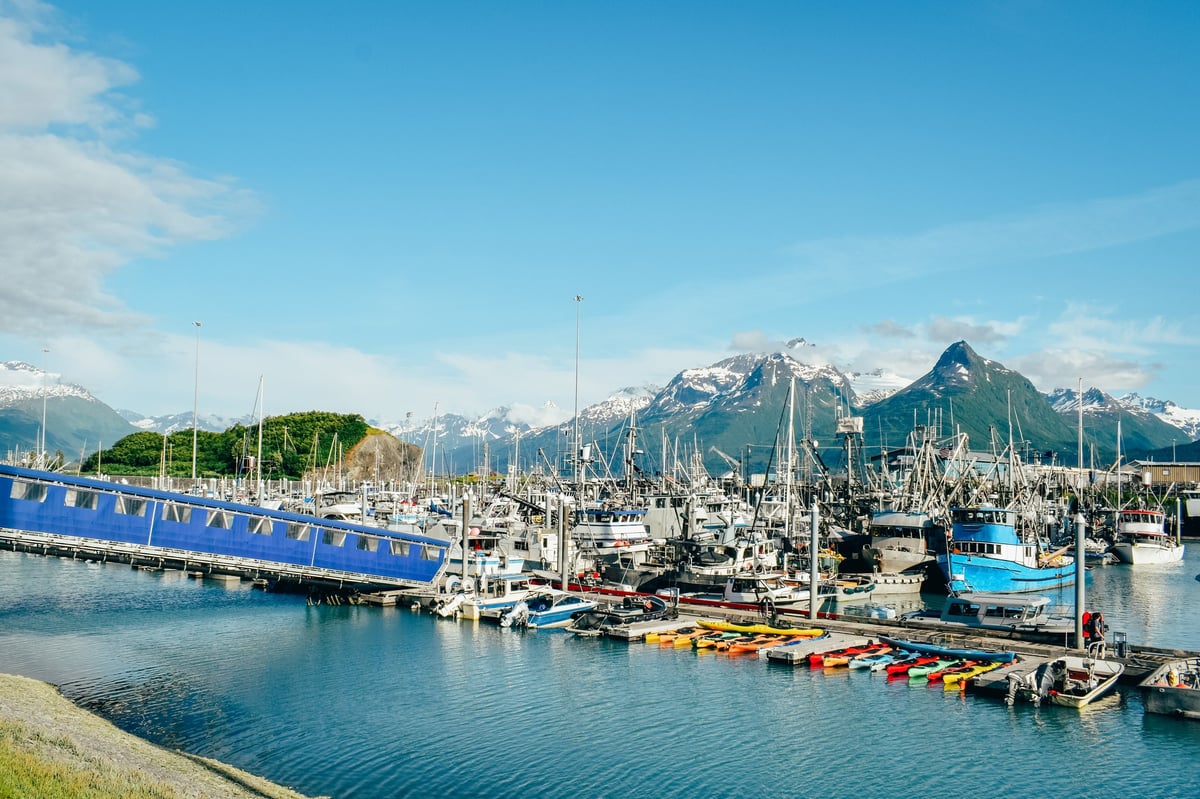Whistler mountain and coastal wilderness