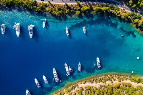 Paradise Bay in Bodrum with blue sea and nature, drone shot