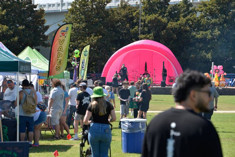Rustic Reign plays to an enthusiastic crowd at the 2024 Chattanooga Cannabis Festival