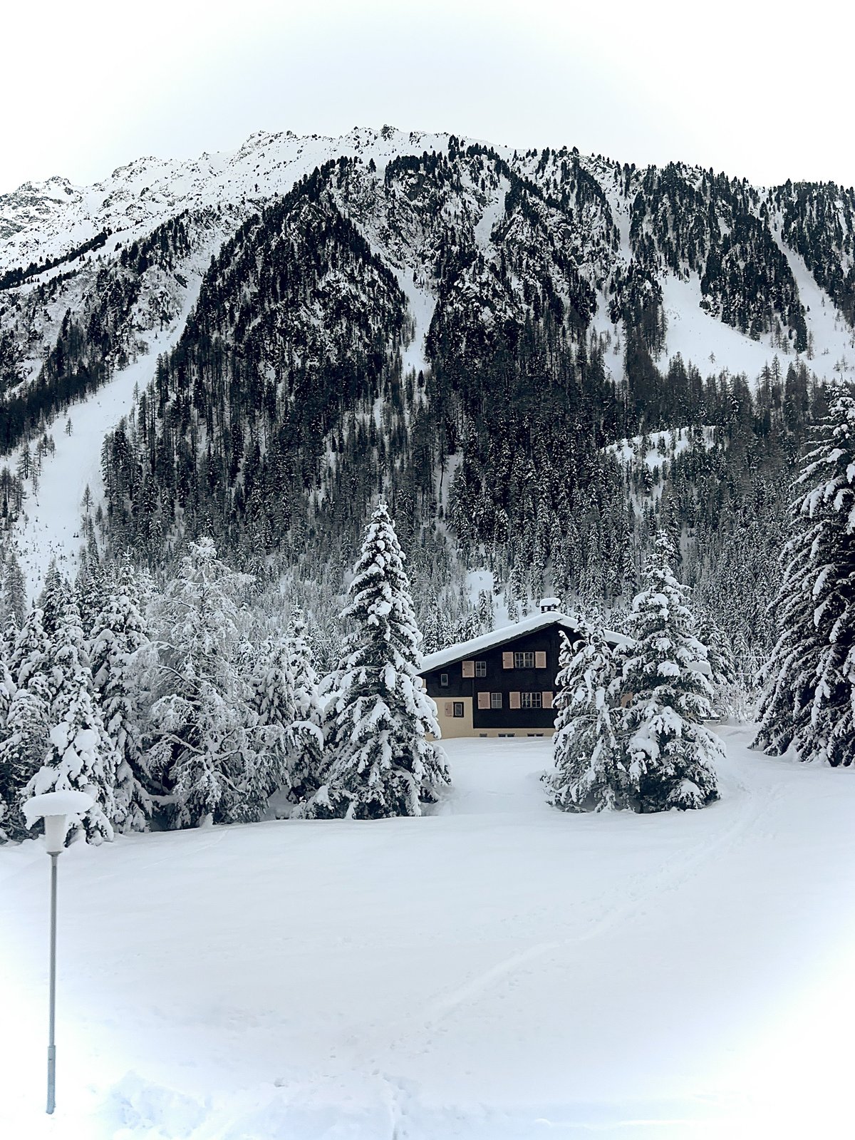 Snow-covered alpine chalet and trees with mountain backdrop in Japan