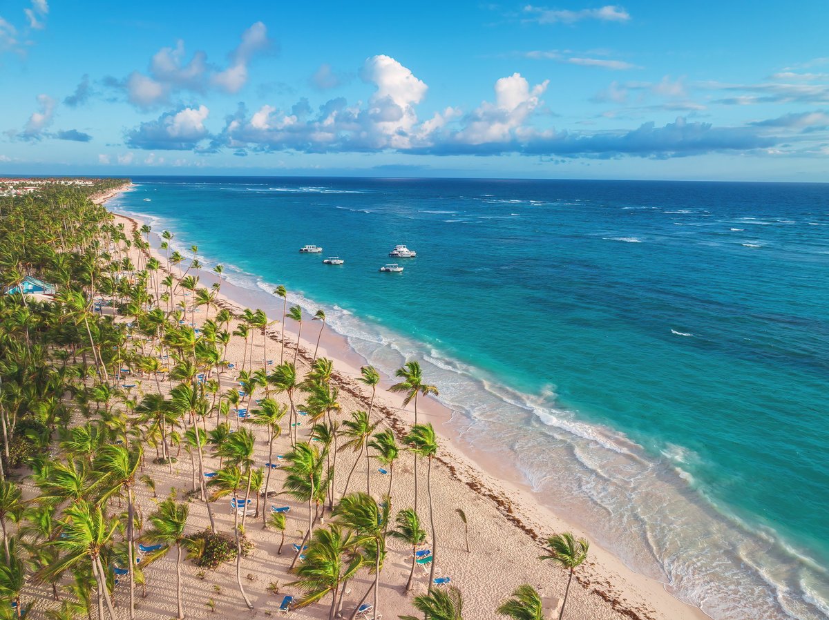 Aerial view of tropical Caribbean beach with palm trees and blue ocean