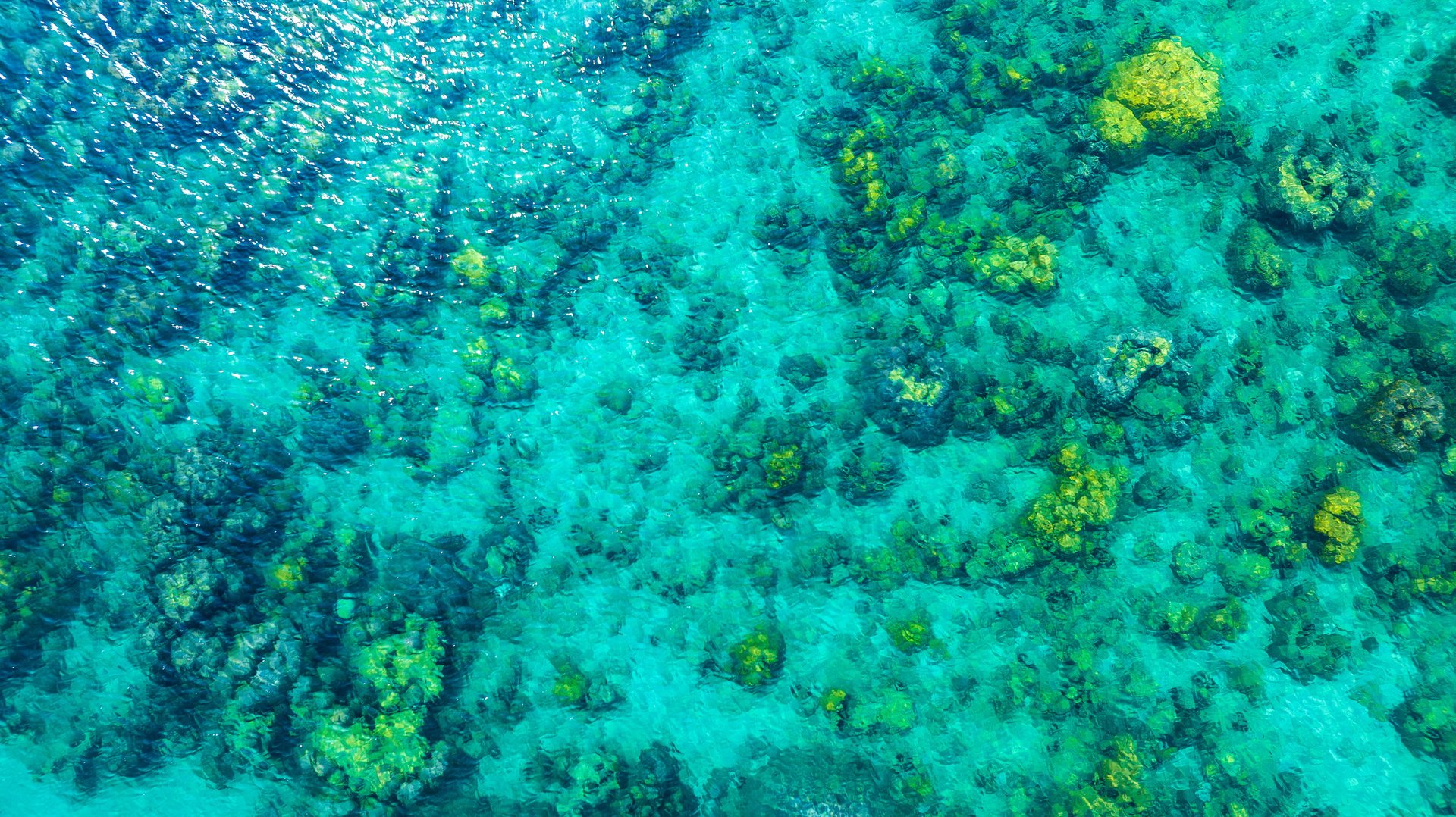 Maldives