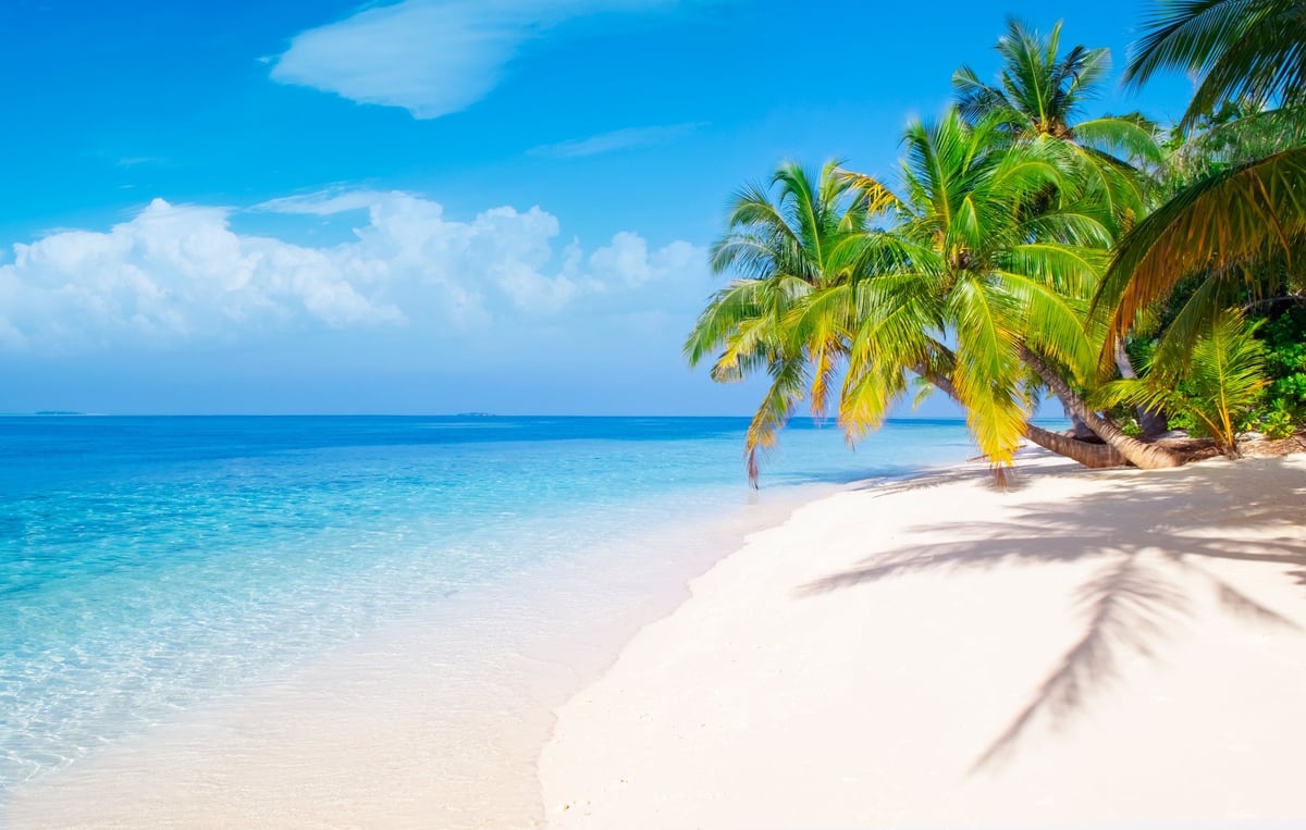 Tropical Caribbean beach with turquoise water, white sand and palm trees in Antigua