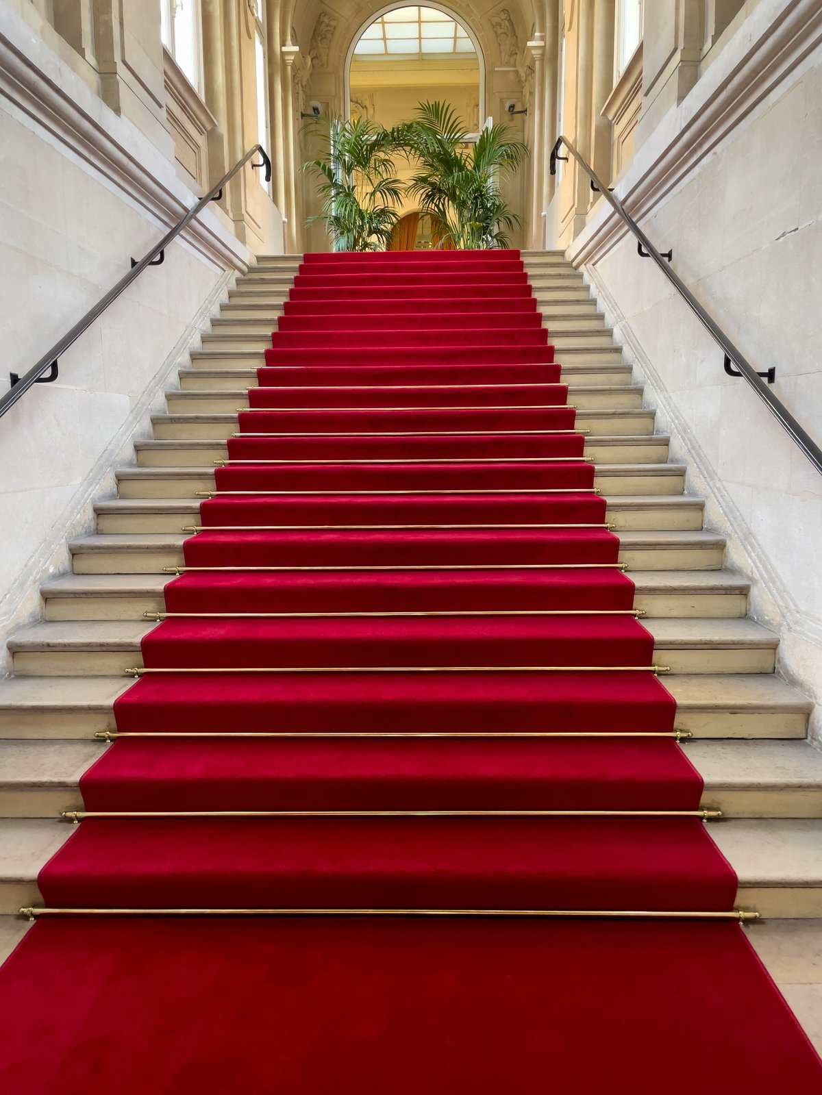Red carpet on stairs leading to a prestigious film festival gala