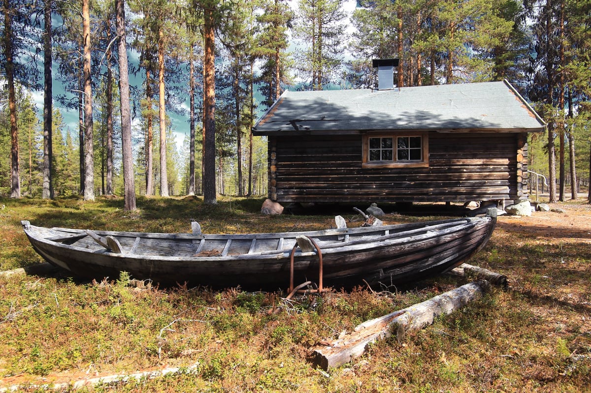 Cabin and boat beside a pine forest clearing under bright midday light