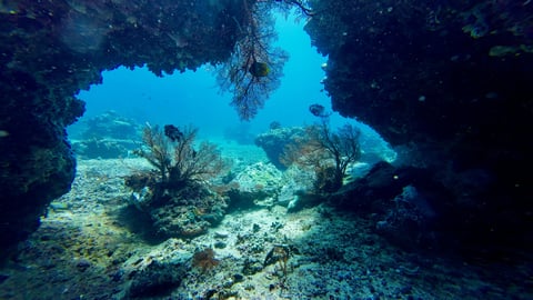 Soneva Diving