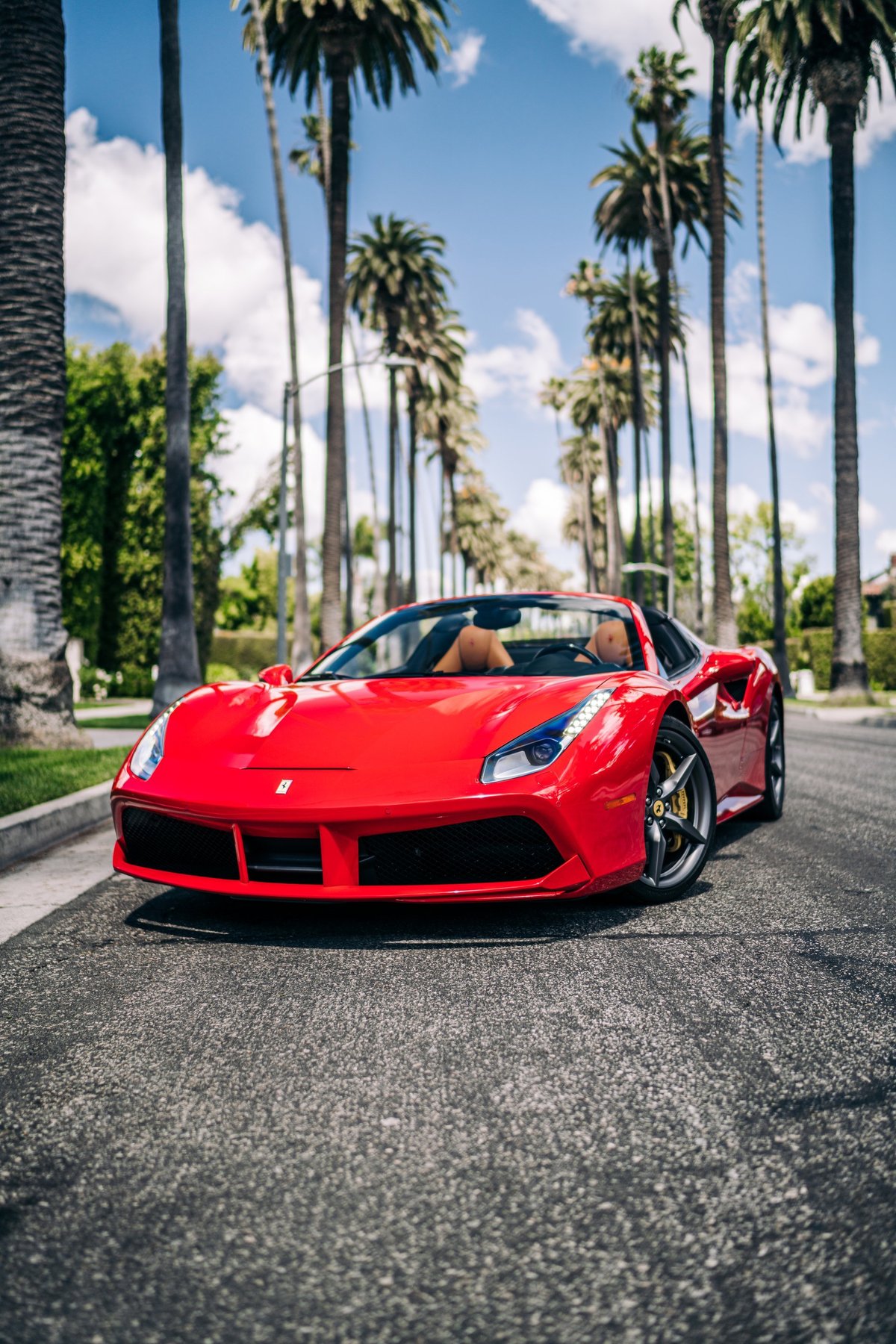 Ferrari 488 parked with palm trees in background, Los Angeles California