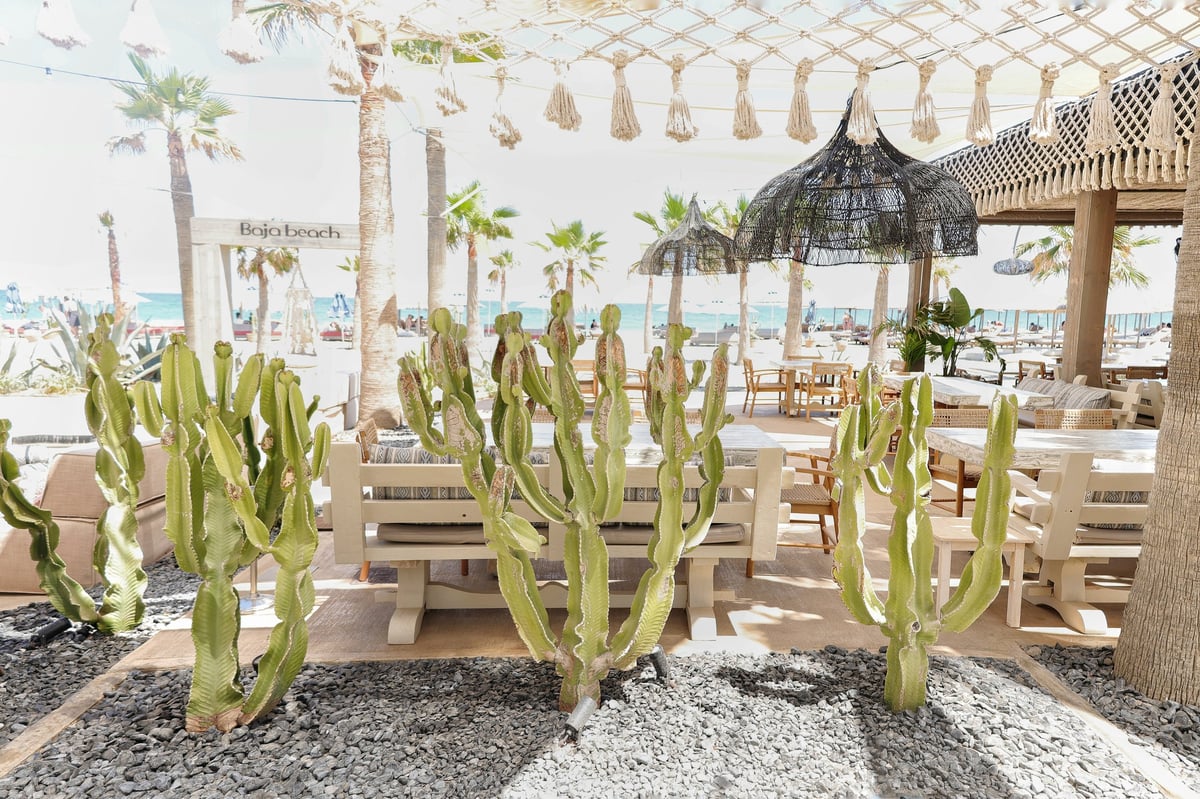 Stylish seaside restaurant-lounge with natural design and sea view seating