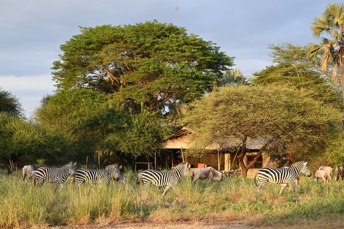 Luxury safari lodge near Lake Maynara National Park
