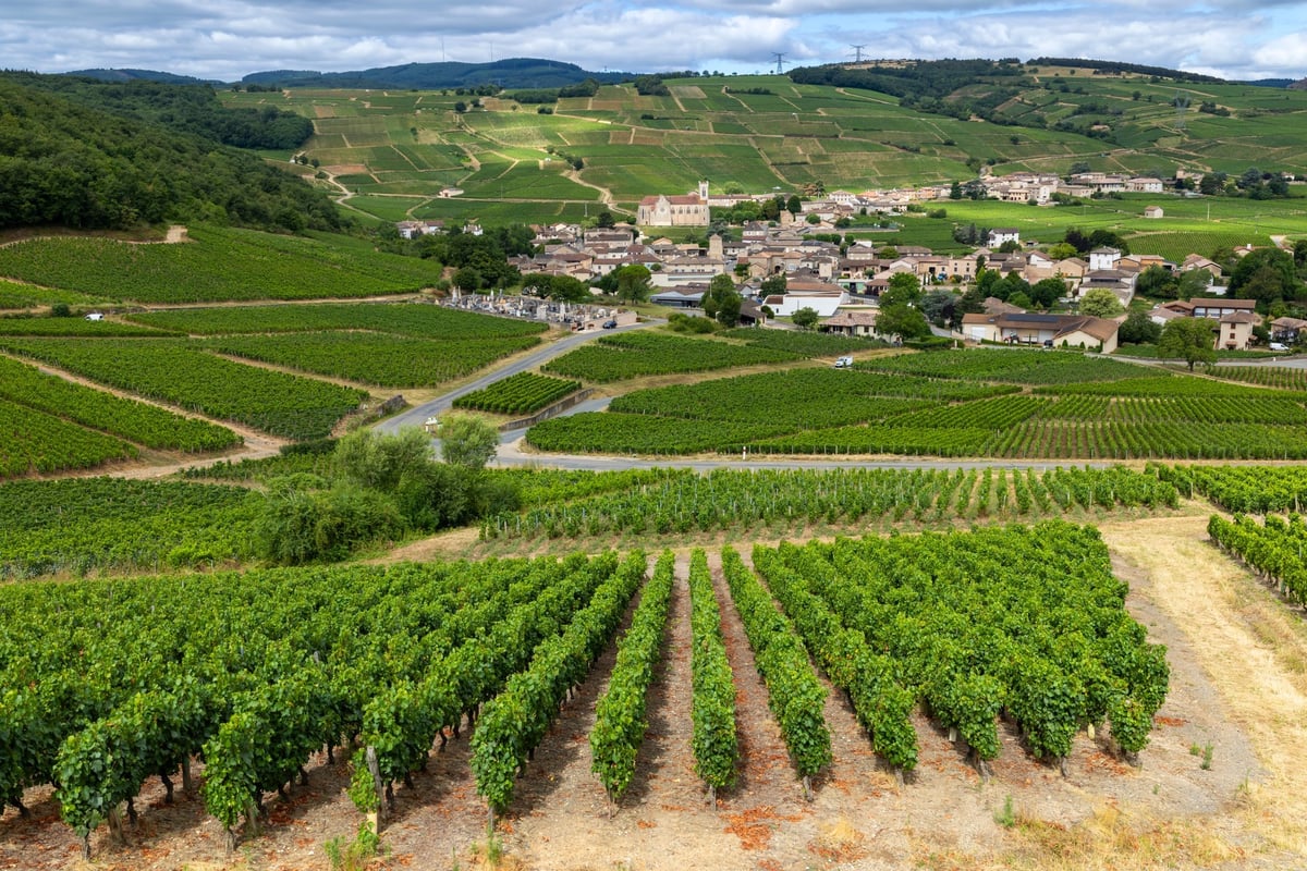 Scenic view of vineyards and a French village in the countryside