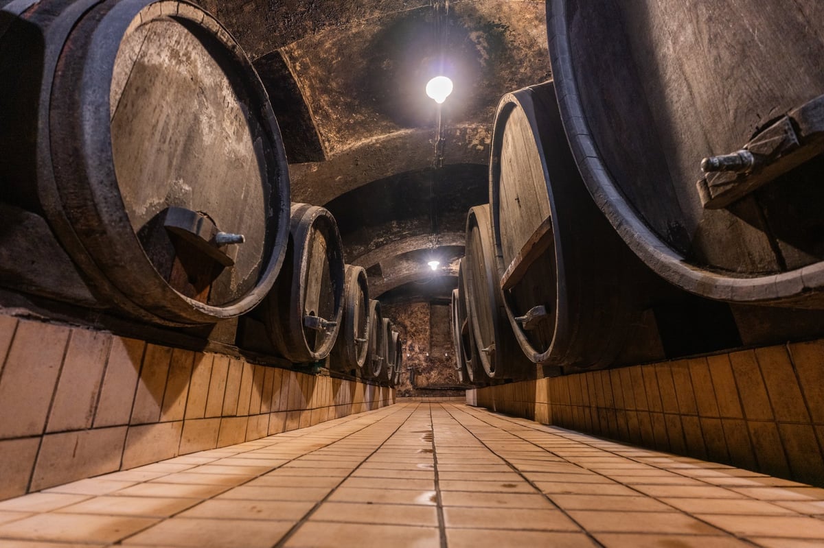 Old Wooden Wine Barrels in an old wine cellar in Maribor, Slovenia