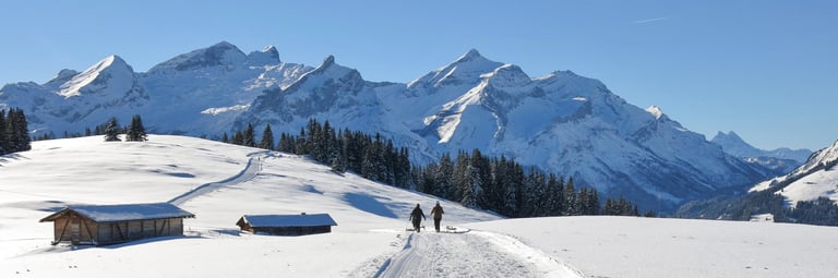 Gstaad luxury chalet