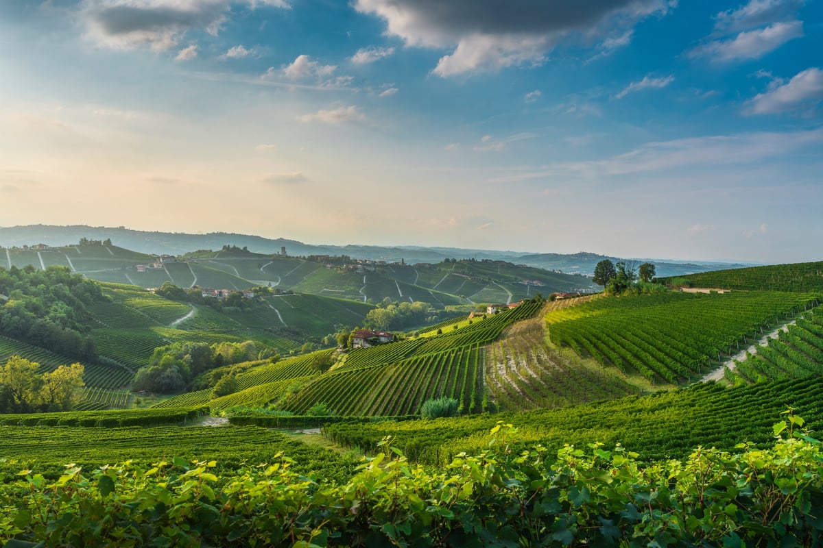 Golden sunset over Italian vineyards and rolling hills of Tuscany
