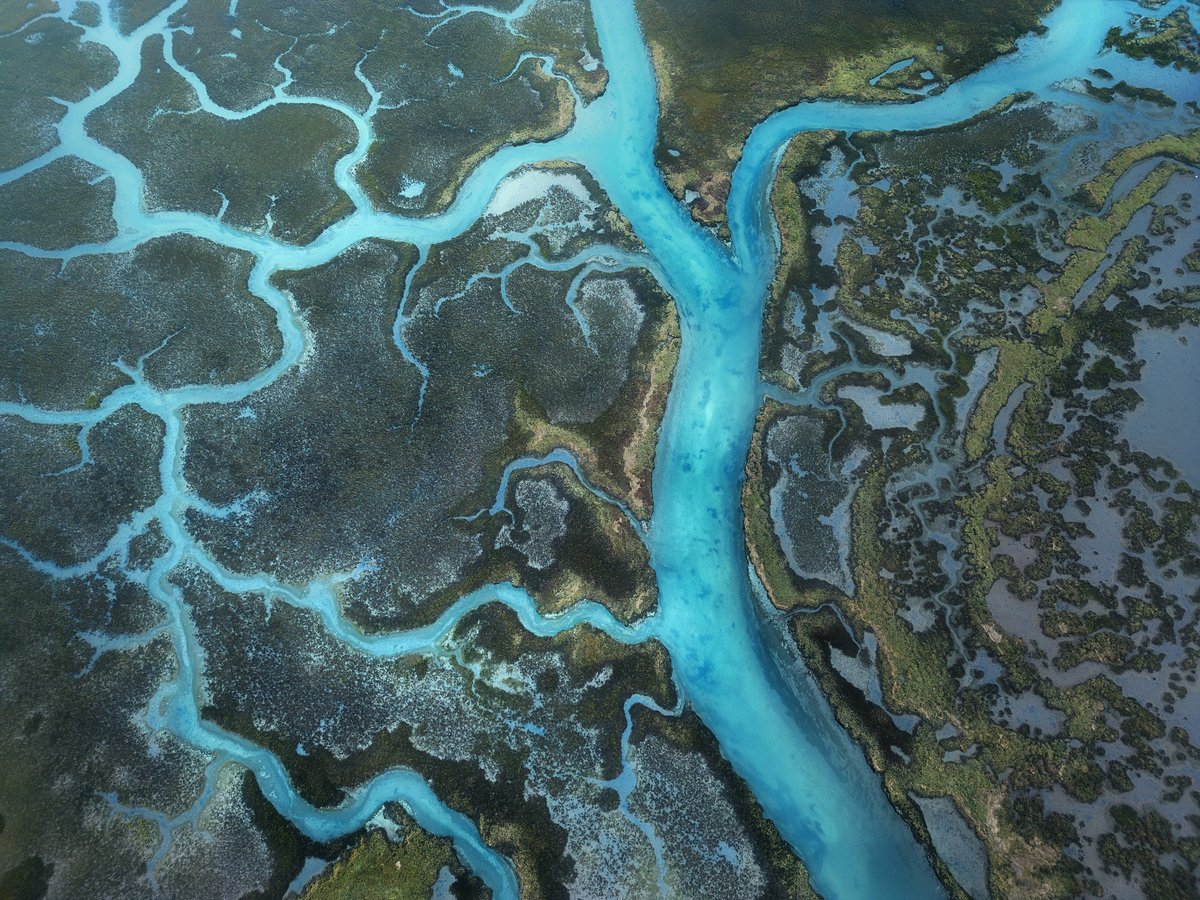 Aerial top-down view of water channels forming branching blue patterns across the landscape