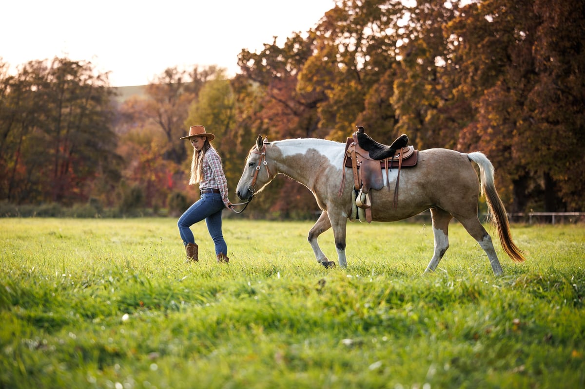 Woman leading horse across mountain pasture during sunset