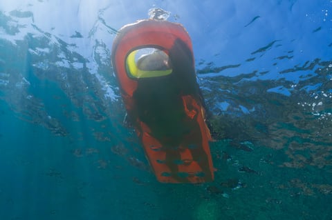 Underwater view person floating clear sea