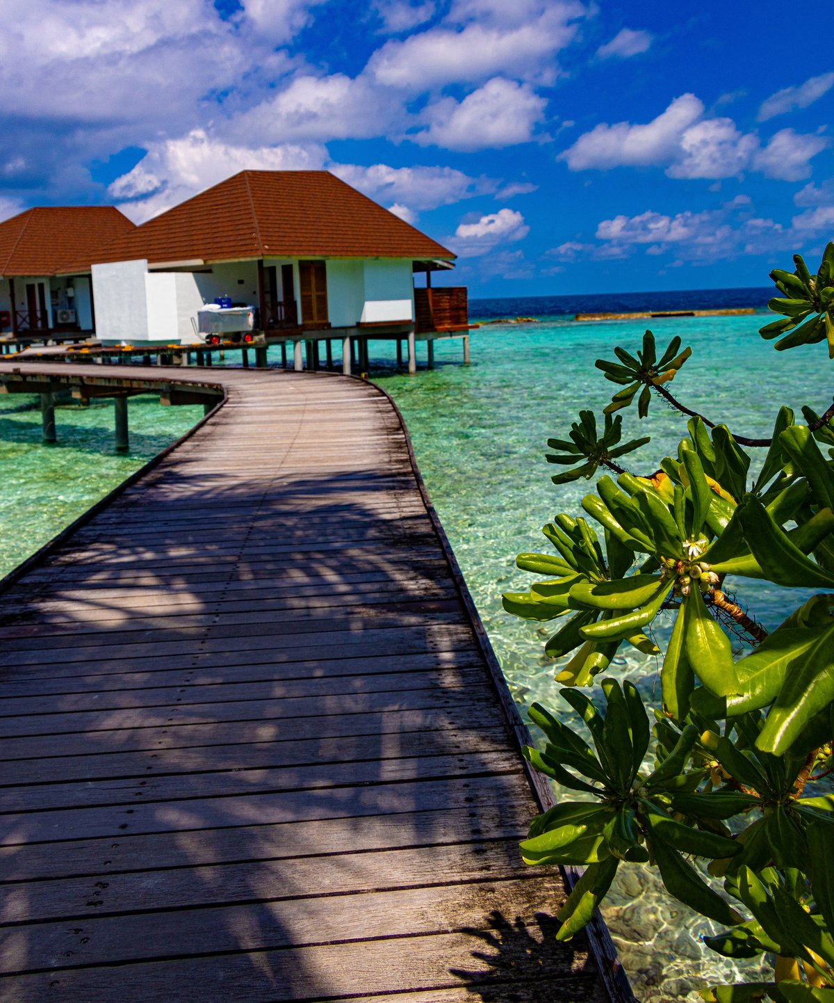 Small cozy bungalow over water and palm trees on beach in Maldives resort