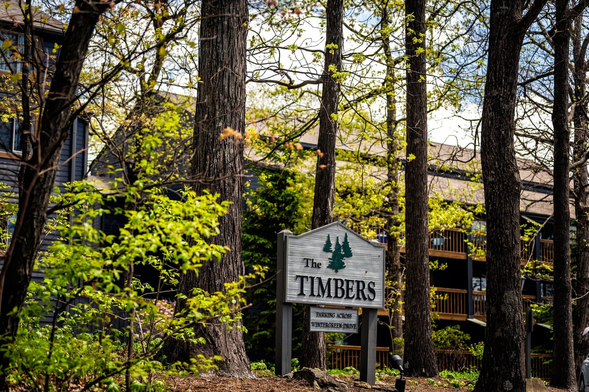 Mountain resort village with luxury condos and pine trees