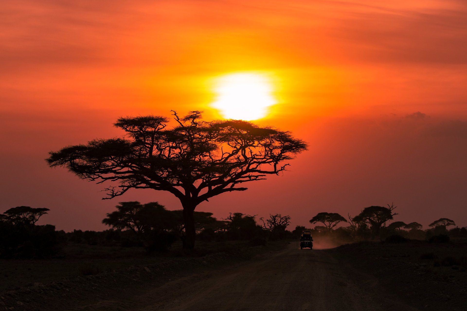 A stunning golden hour photograph in the Maasai Mara National Reserve, Kenya, with the massive sun behind a sprawling acacia tree
