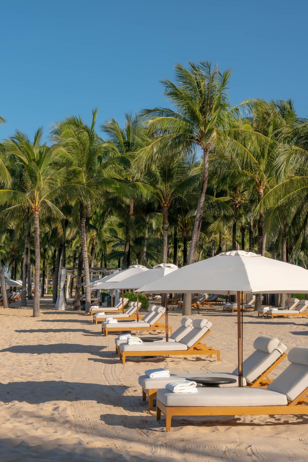 Luxury beach club with sun loungers and white umbrellas on pristine beach