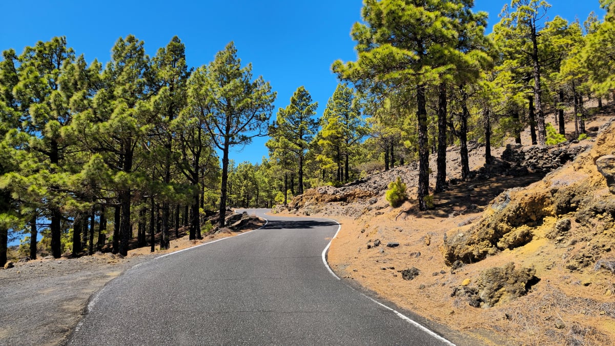 Winding road through pine forest in El Hierro, Canary Islands, under clear blue sky