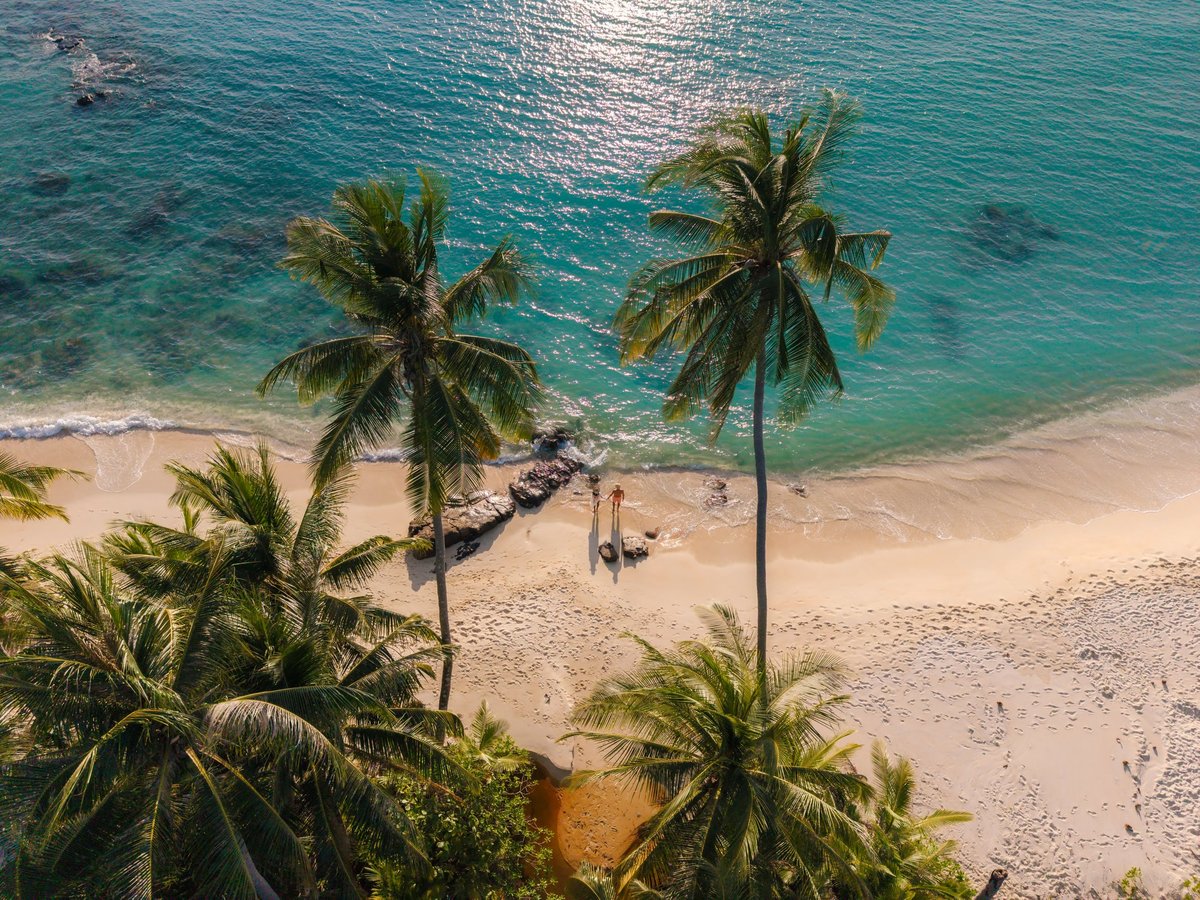 Luxury Caribbean beachfront resort with palm trees and turquoise water in Antigua
