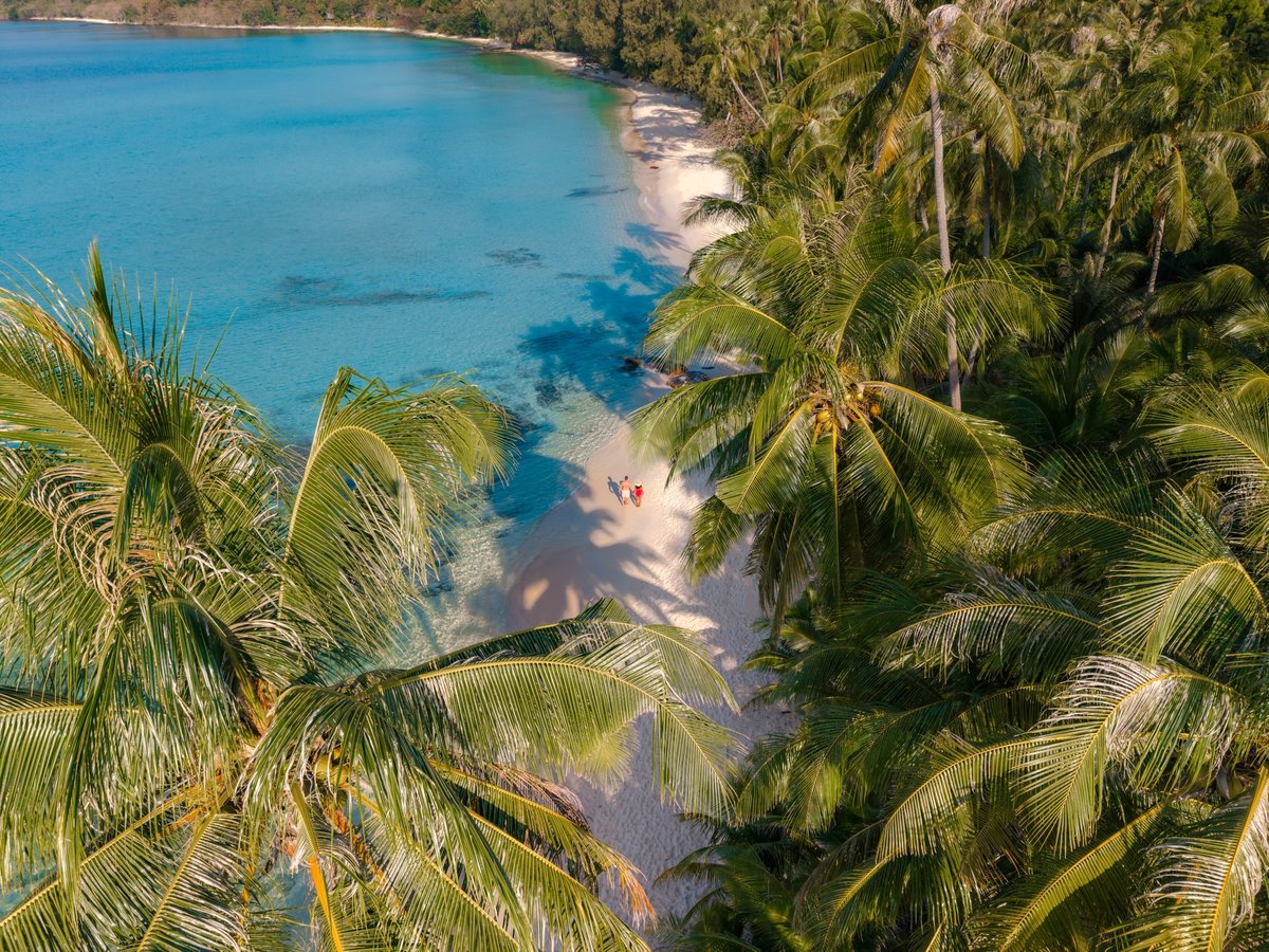 White sandy shores with crystal-clear turquoise waters and palm trees
