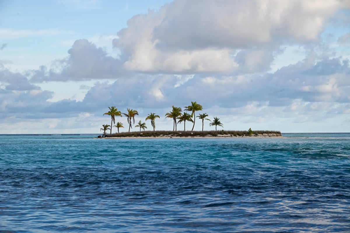 Sunset Dolphins and Tropical Seascape at Dhigurah Island, Maldives