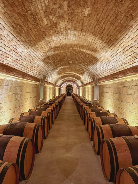 Underground wine cellar at Rutherford winery