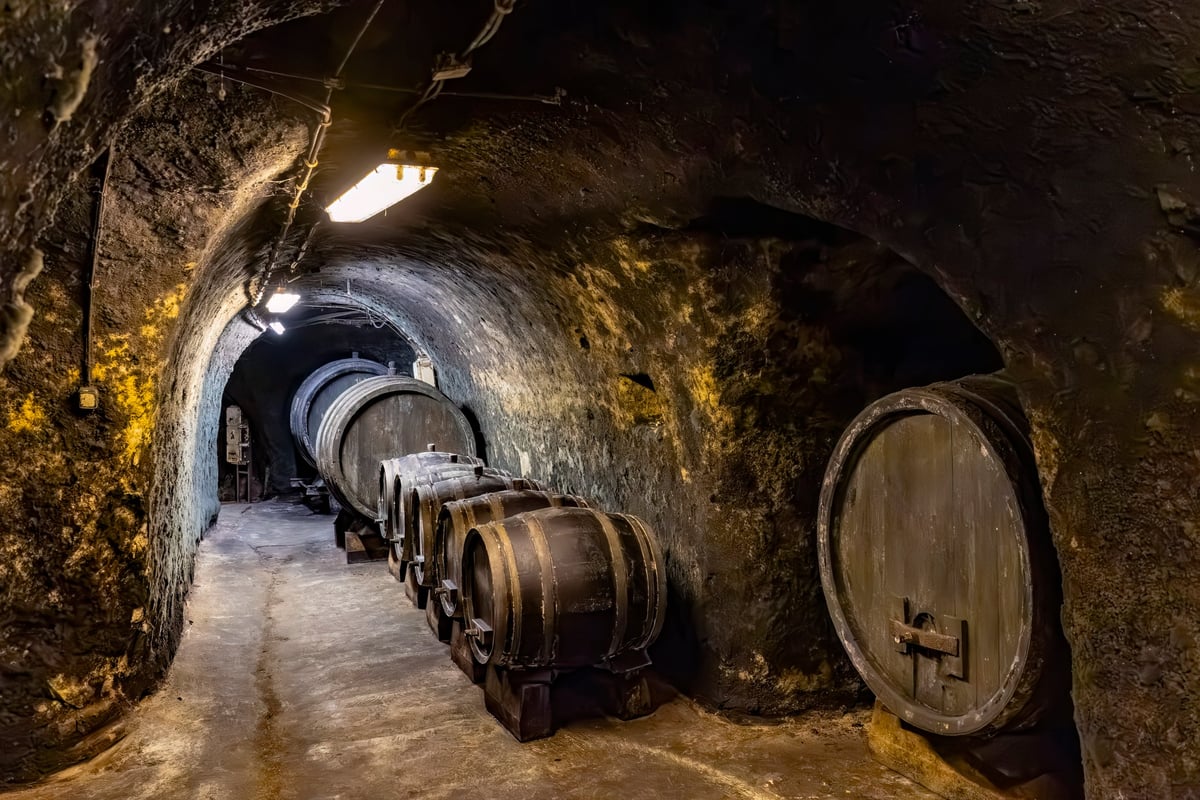 Dark underground wine cellar storing numerous wooden barrels for aging wine