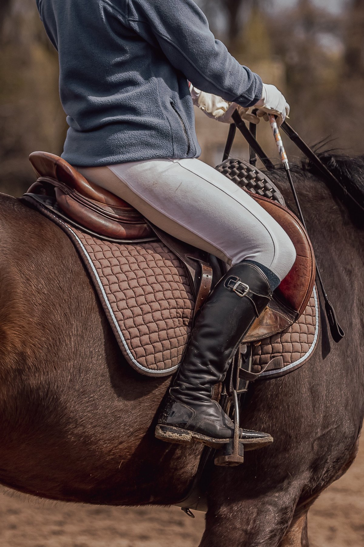 Equestrian rider with elegant outfit and horse