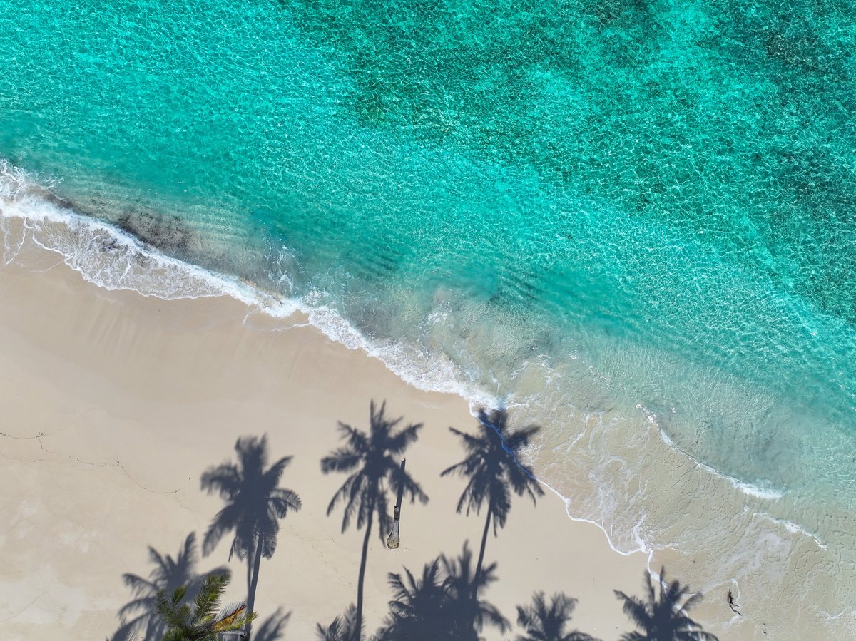 Aerial view of glassy turquoise ocean and sandy beach with palm shadows on a remote tropical island