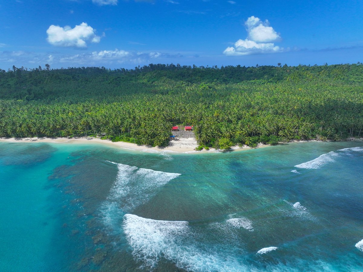 Small tropical cottages hidden between endless palms and reef break