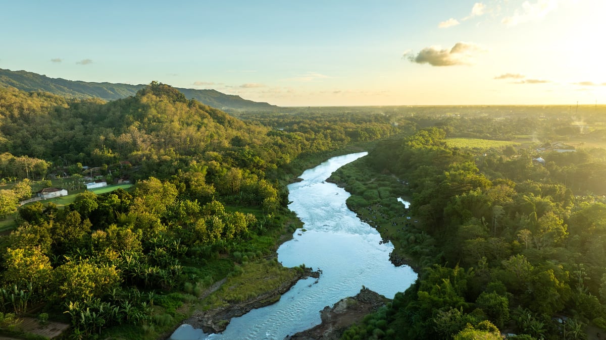 Golden aerial view of winding river through tropical Costa Rican rainforest