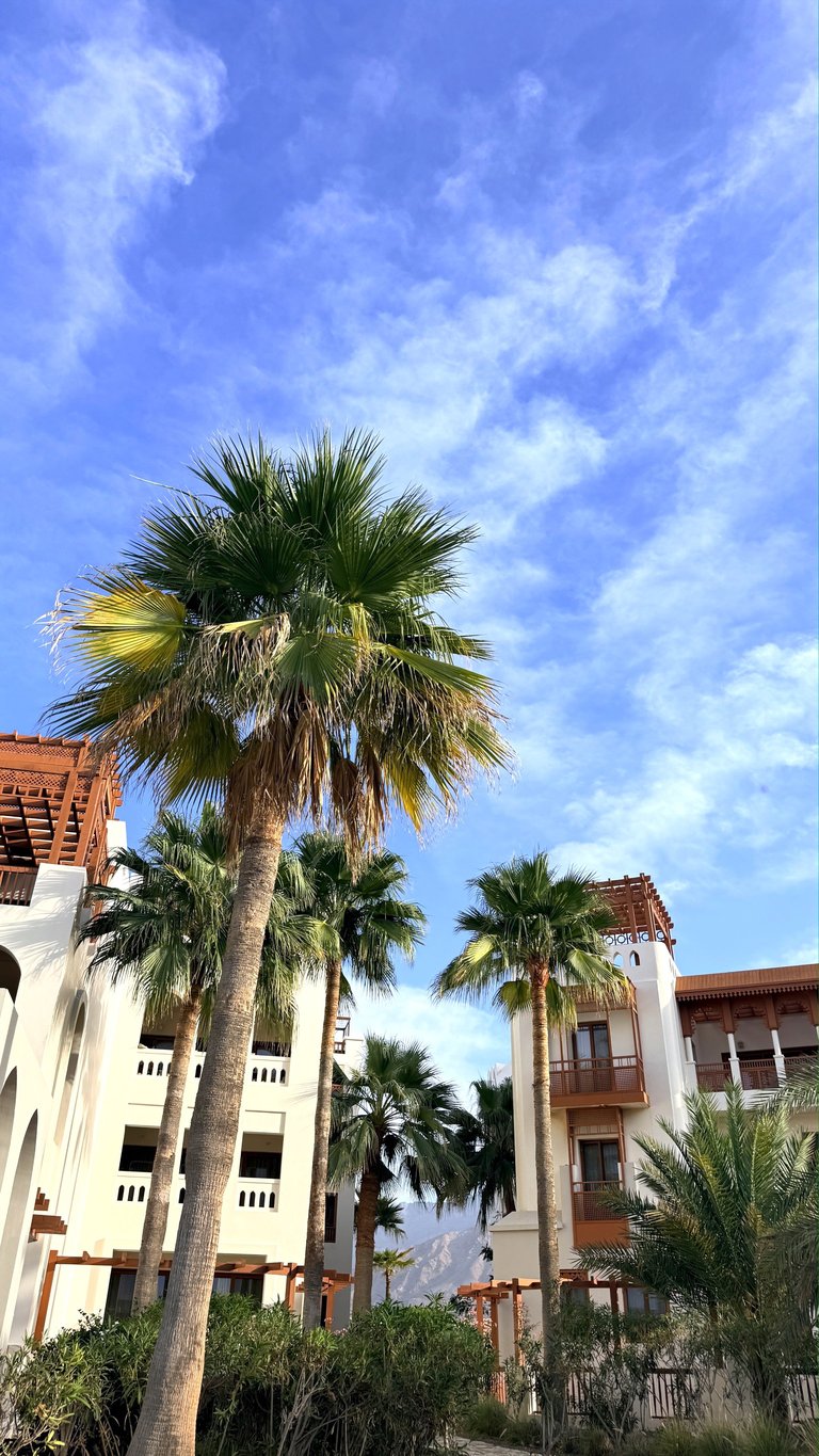 1 Hotel South Beach luxury eco-resort