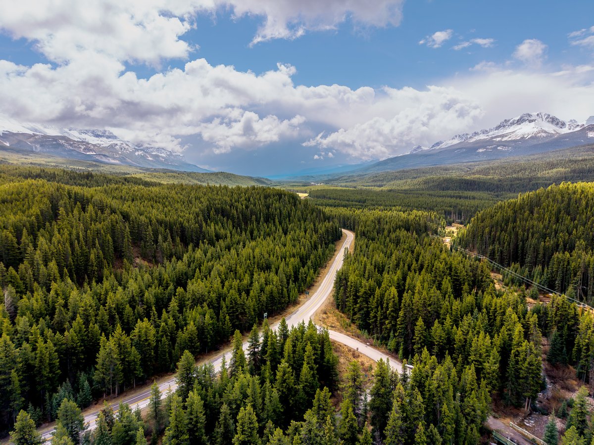 Aerial view of winding road through dense forest with snow-capped Rocky Mountain peaks in Canada