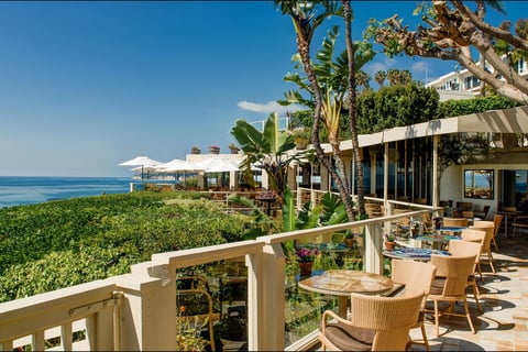 Beachfront resort terrace with lounge chairs, umbrellas, palm trees, and ocean view under clear blue sky