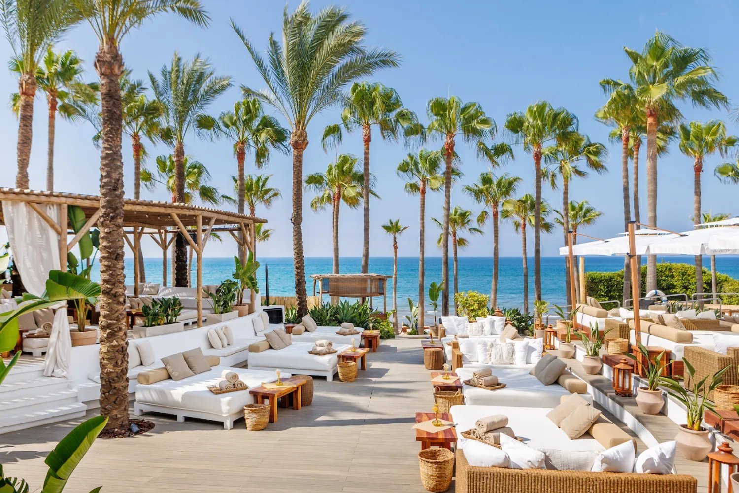 Luxury beachfront lounge area with white seating, palm trees, and ocean view