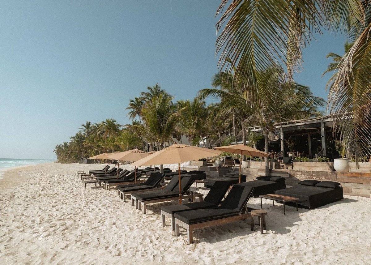 Beach resort with rows of black lounge chairs and umbrellas on sandy shore lined with palm trees