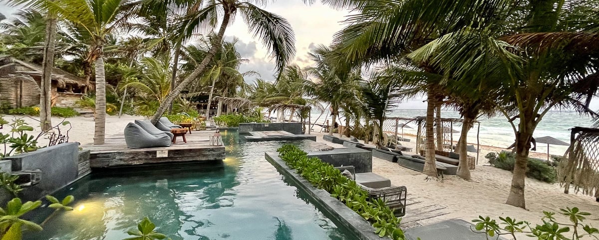 Tropical resort pool with lounge chairs, palm trees, and ocean view in the background