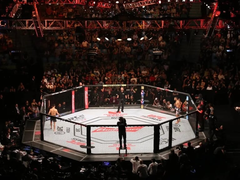 MMA octagon cage with fighter and referee in center, surrounded by packed arena crowd and red lighting