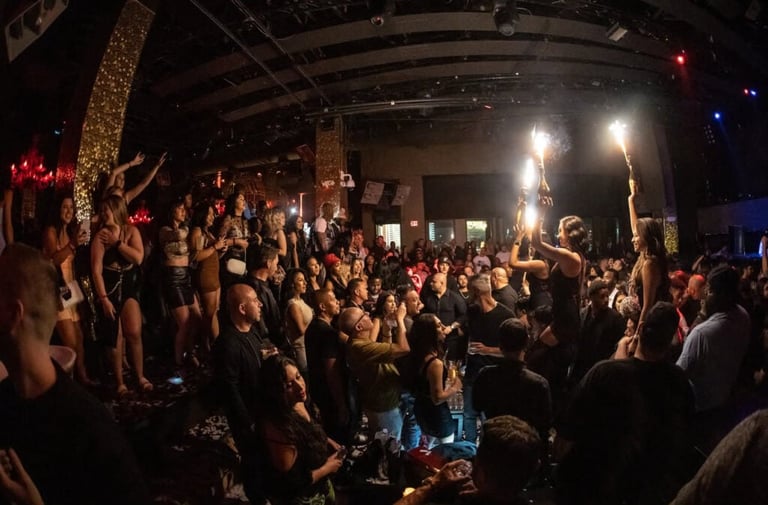 Crowded indoor concert or club venue with performers on stage lit by spotlights and audience dancing in darkness