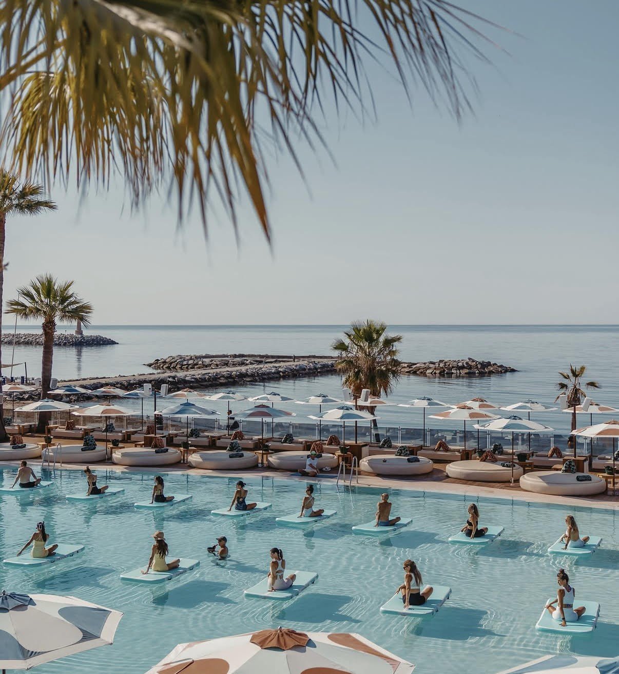 Beachfront resort pool with swimmers, palm trees, umbrellas, and calm sea with rocky breakwater in background